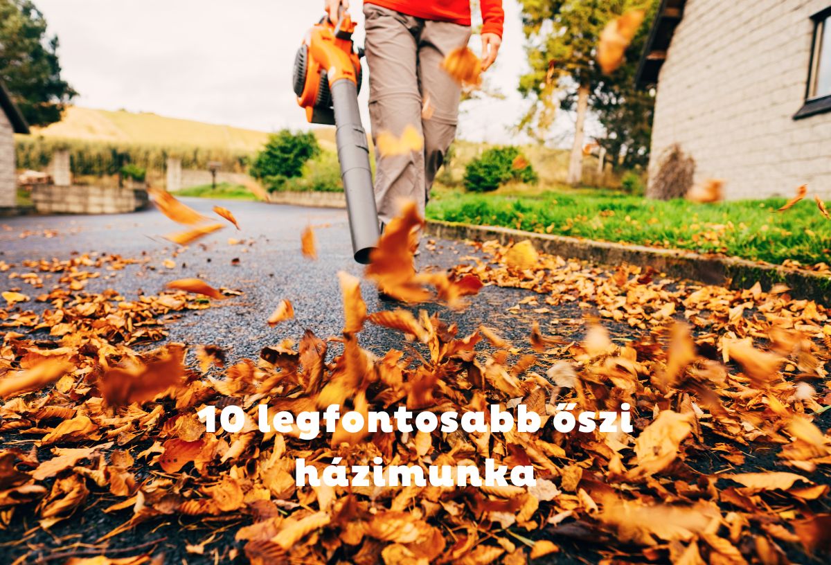 Levélfújóval gyűjti össze a színes őszi faleveleket egy férfi az úton