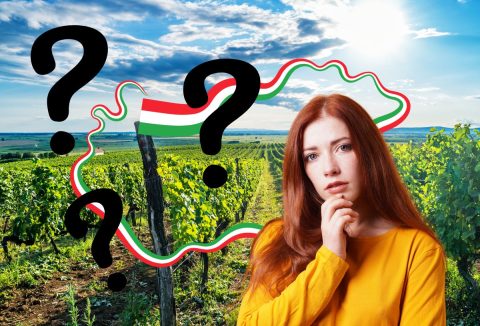 Magyar borvidék tájkép, nemzeti színű körvonal, sárga pulcsiban gondolkodó hosszú hajú fiatal nő, fekete kérdőjelek