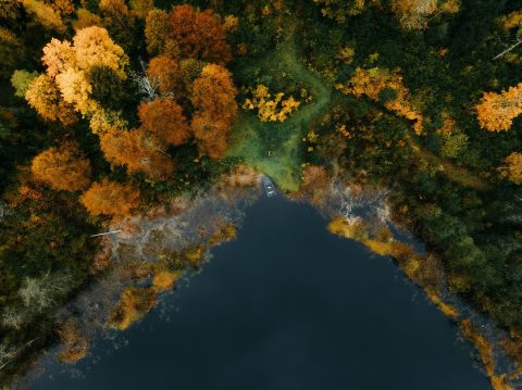 Légi felvétel az őszi erdőről egy sötét tó mellett