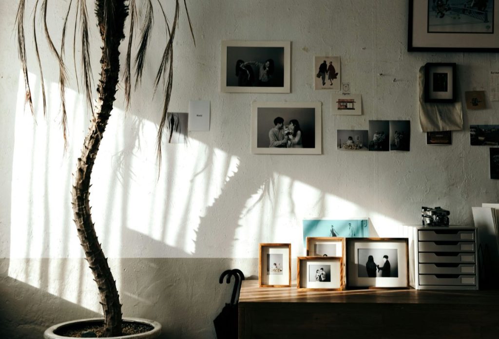 Családi fotók a falon és komódon, szobapálma a kép szélén