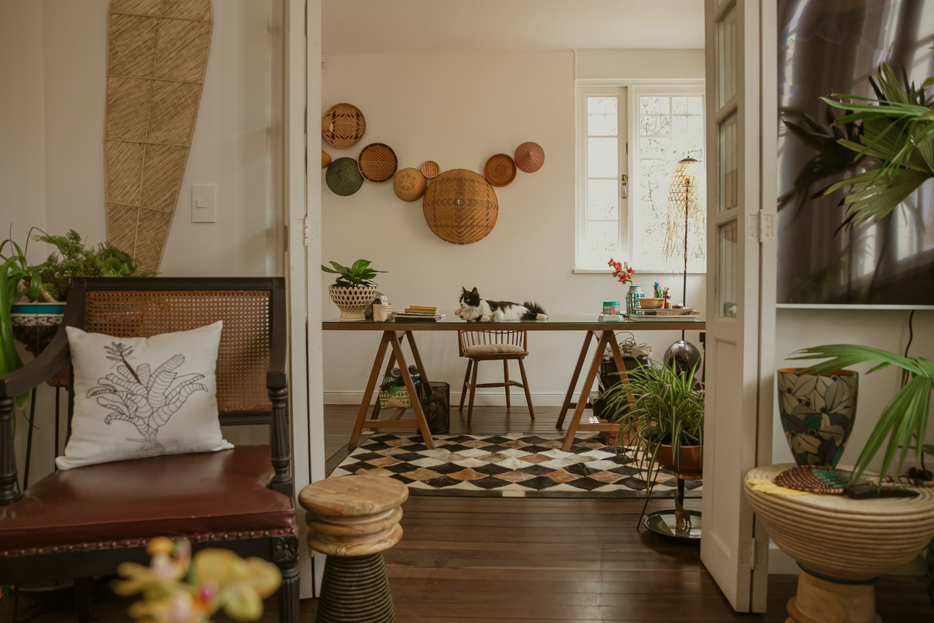 Lakás szobanövényekkel