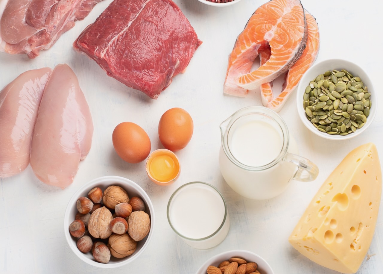 Alapvető fehérjeforráspk