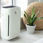 Légtisztító készülék anyósnyelv szobanövény mellett az ablakban