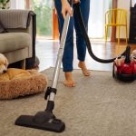 Kistestű zsemleszínű kutya fekszik a fészkében, és nézi, ahog a gazdája porszívózik mellette