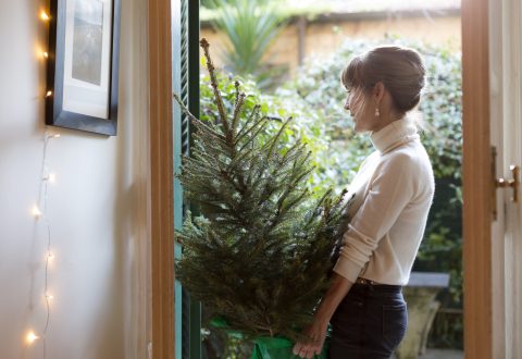Nő viszi be az ajtón kis méretű karácsonyfáját