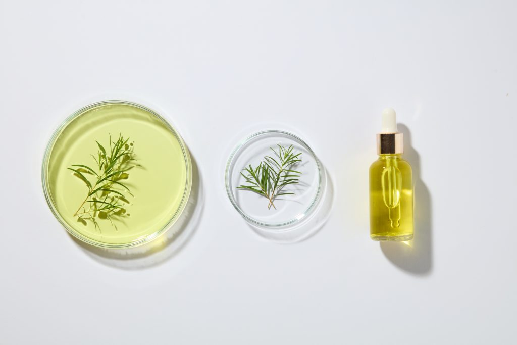 teafaolaj-tisztit-fertotlenit-es-illatosit | Marie Claire Petri-csésze olajjal, teafa levél és teafaolaj