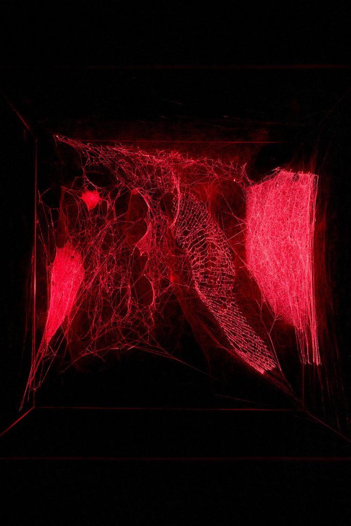 Tomas Saraceno: How to entangle the Universe in a Spider Web
