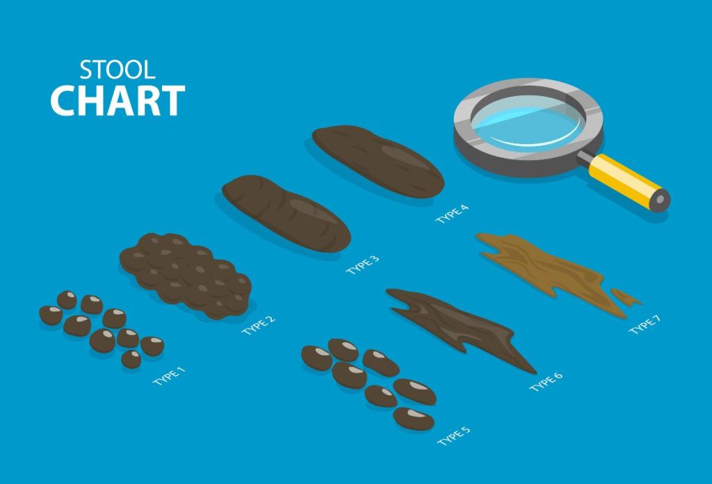 Bristol széklet skála számítógépes grafika