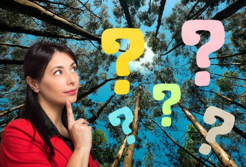 Magas fák alulnézetből, barna hajú fiatal nő piros rúzzsal és piros blézerben gondolkodva néz, színes kérdőjelek