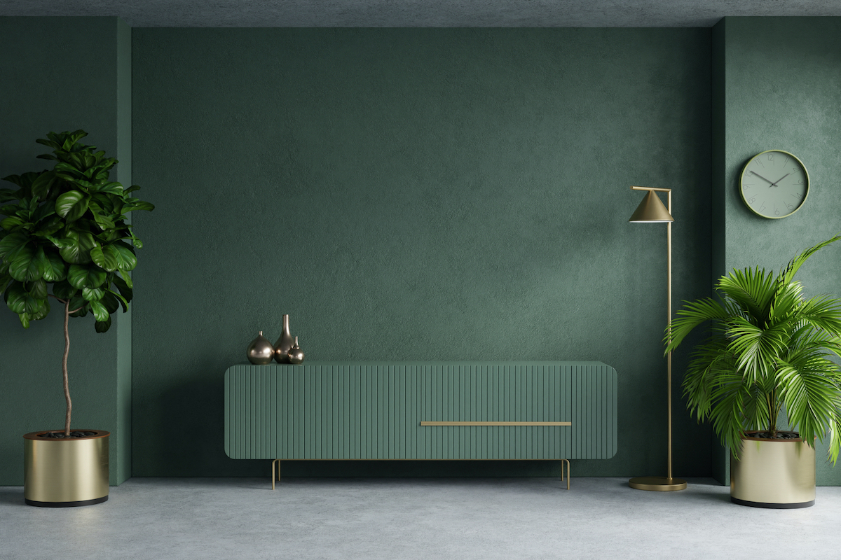 zöld enteriőr növényekkel