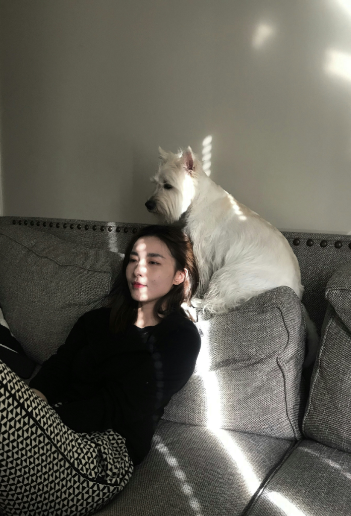 West highland terrier és fiatal nő gazdája szürke kanapén ülnek, rájuk vetül a beszűrődő fény