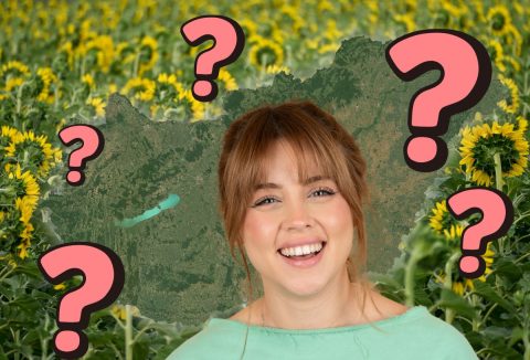 napraforgómező és Magyarország domborzati térképe a háttérben, mosolygó, szép, fiatal nő frufrus hajjal, rózsaszín kérdőjelek