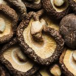 Shiitake gomba