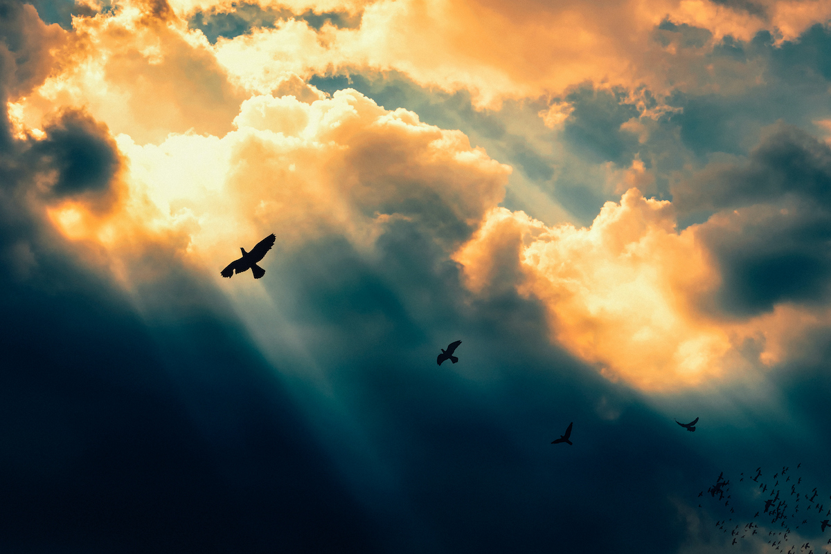felhők között átsütő nap, madarak