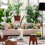 Világos nappali fehér kanapéval és rengeteg szobanövénnyel