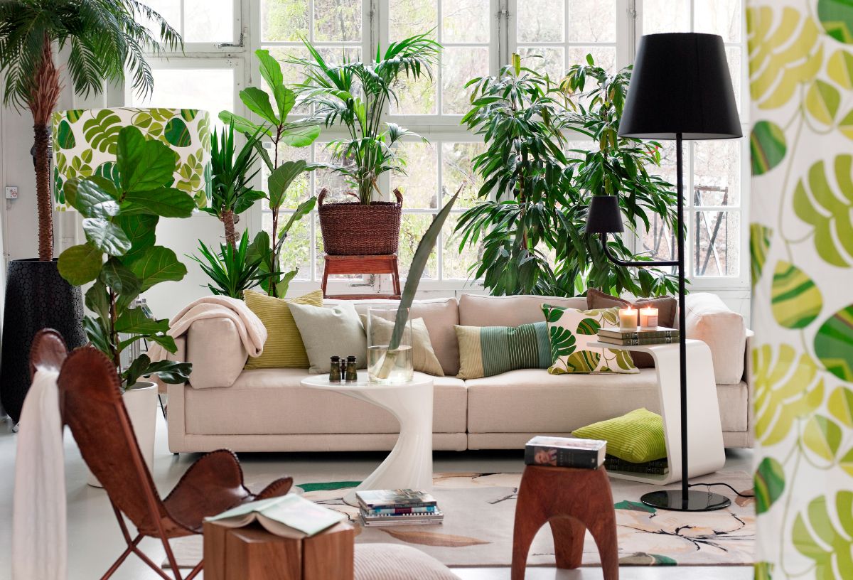 Világos nappali fehér kanapéval és rengeteg szobanövénnyel
