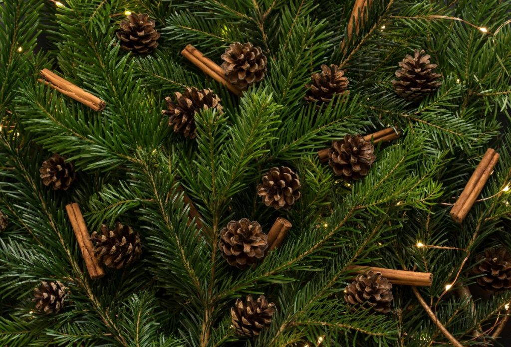 karacsonyfa-diszites-fenyotoboz | Marie Claire Fenyőtoboz és fahéjrudak karácsonyfadísznek