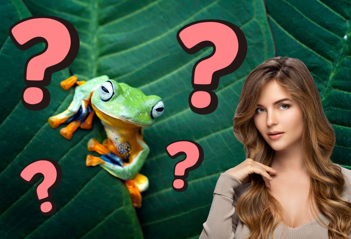 Levelibéka zöld levélen, barna hajú, fiatal nő gondolkodva néz, rózsaszín kérdőjelek