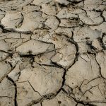 Kiszáradt, sivatagos föld