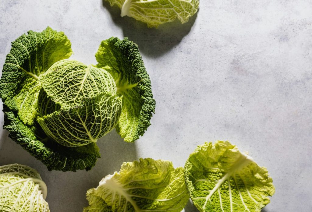 Káposztafej és levelek esztétikus fotón