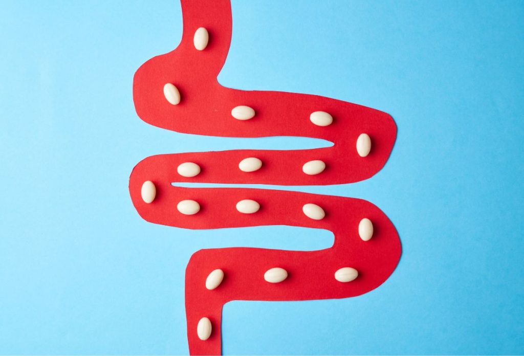 A fermentált ételekben - így a savanyú káposztában is - megtalálható Lactobacillus a bélrendszeren keresztül a szorongás ellen is jótékony hatású lehet