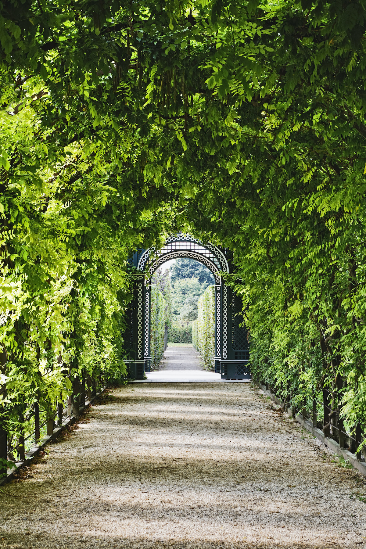 Schönnbrunni kertek: zöld lugas alatt sétány