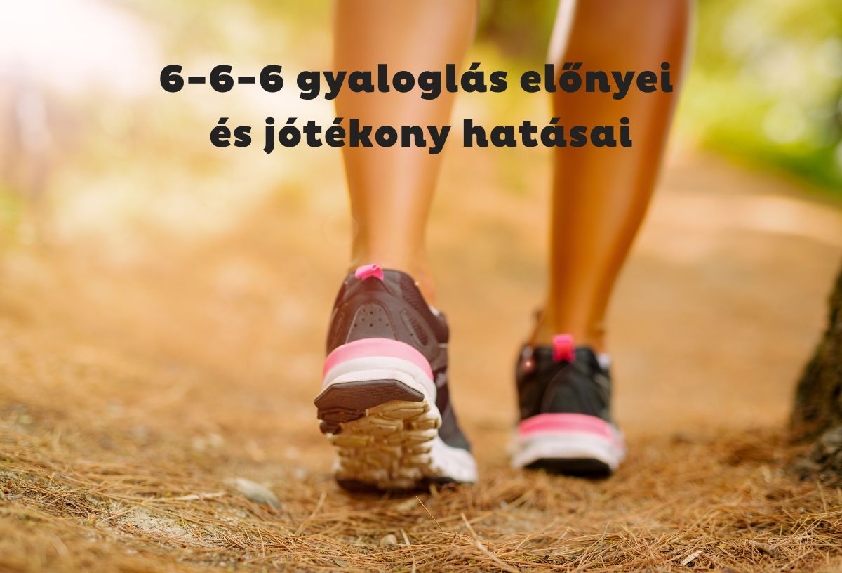 Meleg megvilágítású képen nő lába hátulról sportcipőben erdei úton gyaloglás közben