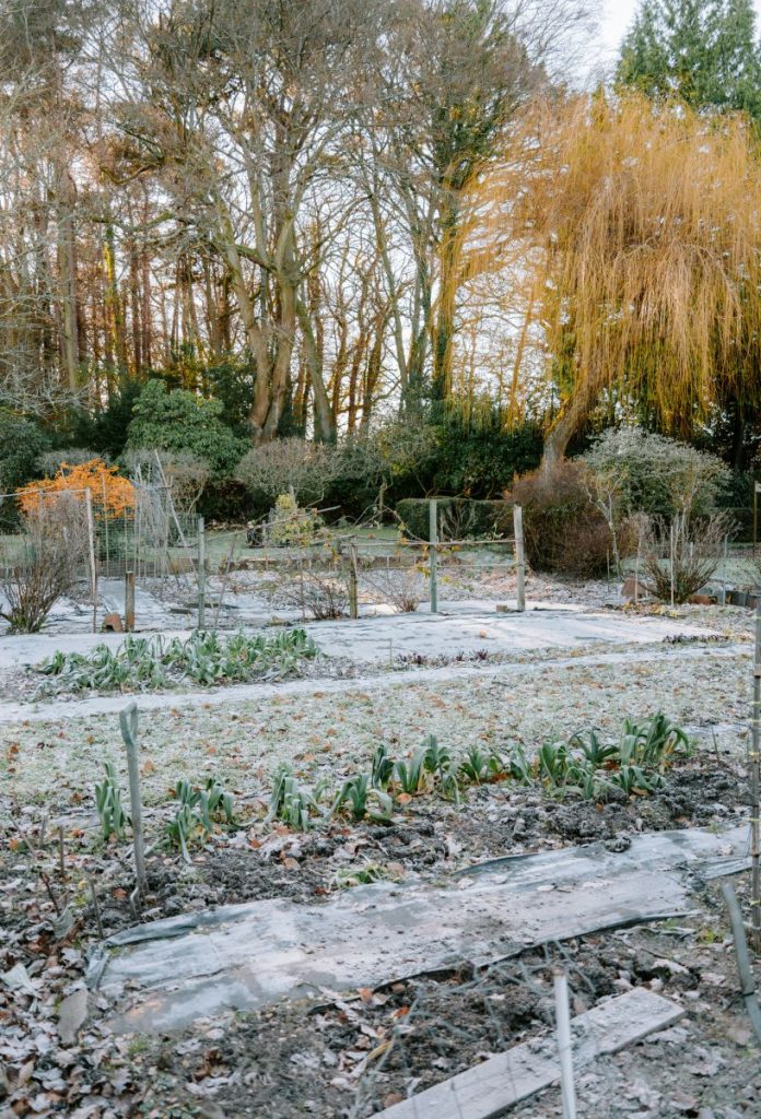 Februári kert látképe virágágyásokkal, kopasz fákkal