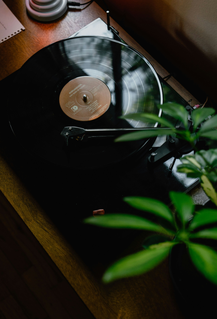 legjobb-hobbi-zene | Marie Claire Hagyományos bakelit lemez lemezjátszón, zöld növény levelei belógnak a képbe