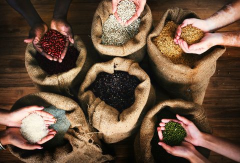 Különböző magok körberakott szövött zsákokban, mindegyik zsák fölött női kéz egy marokkal tart az egyes magokból
