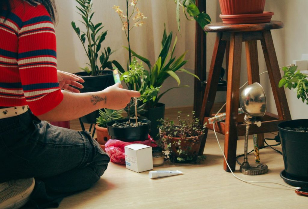 szobanovenyek-gondozasa-kutyaszor | Marie Claire Nő térdelve szobanövényeket gondoz