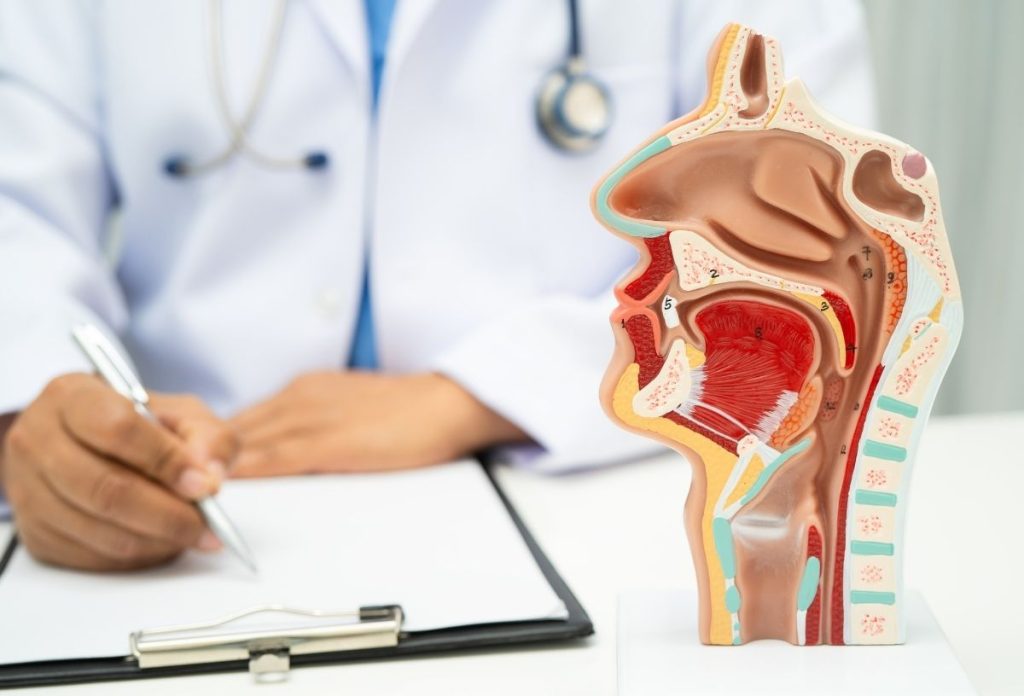 ures-orr-szindroma-diagnozis | Marie Claire Fül-orr-gégész szakorvos ambuláns lapot tölt ki, előtérben egy emberi fej metszete