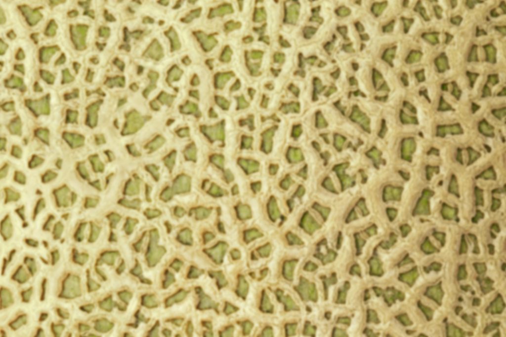 Lyukacsos textúra közelről