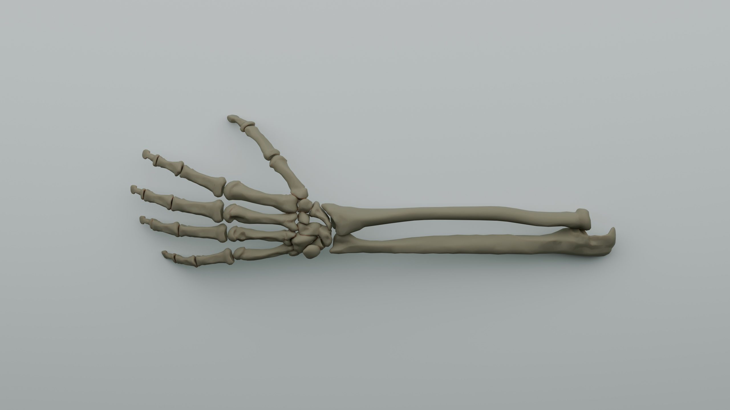 fekete-nadalyto-krem-gyogyhatasai-erre-is-jo-lehet | Marie Claire Alkar és kéz csontjai szürke háttér előtt