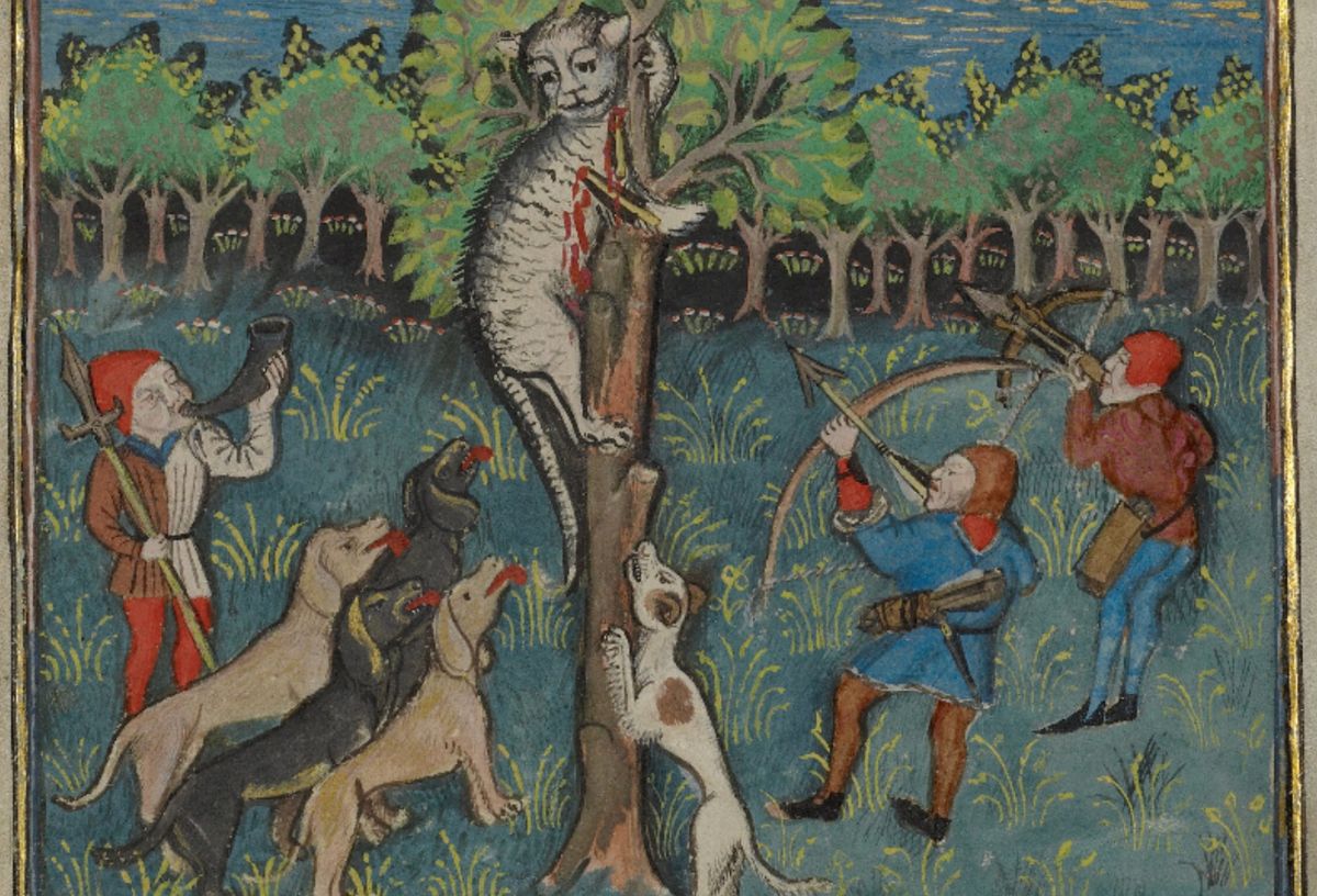 Középkori illusztráción macskát üldöznek emberek és kutyák fel ey fára, nyíllal lövik meg