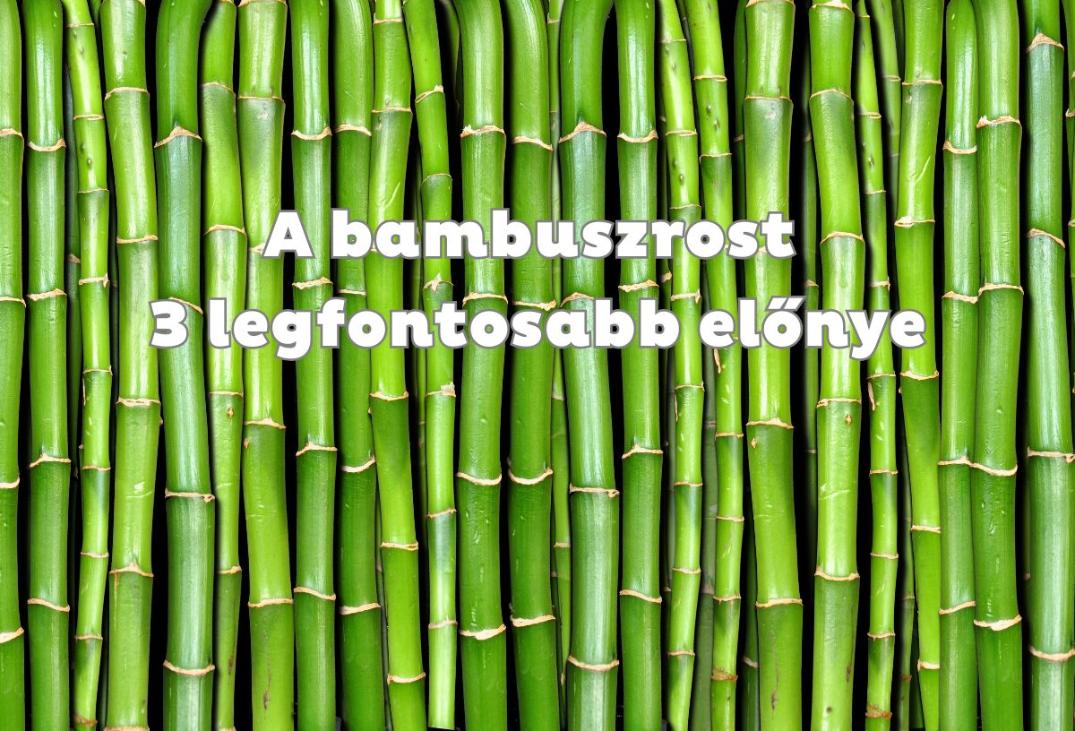 Zöld bambuszszárak szorosan egymás mellett