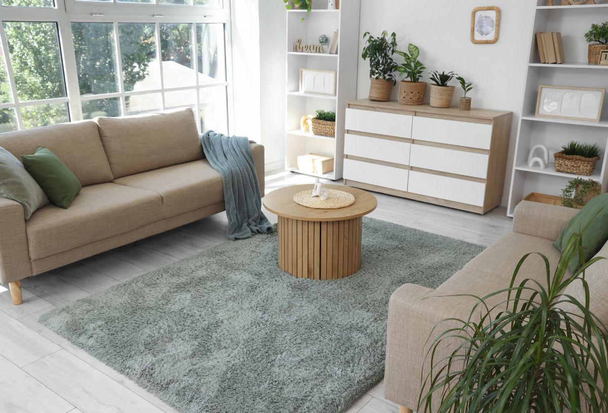 Kis nappali kanapéval, fotellel, fa asztallal, bolyhos szőnyeggel