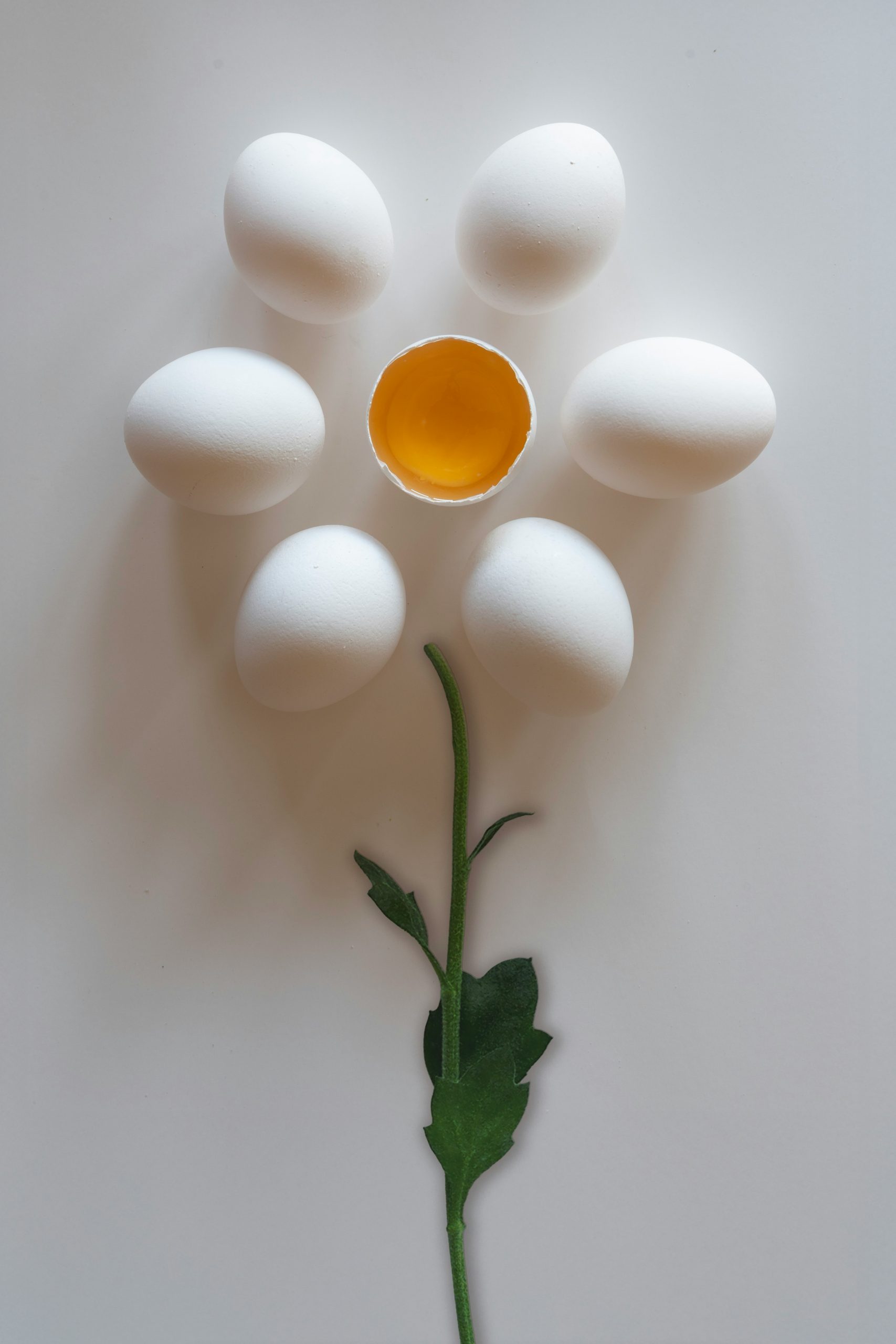 Tojások virág formába rendezve