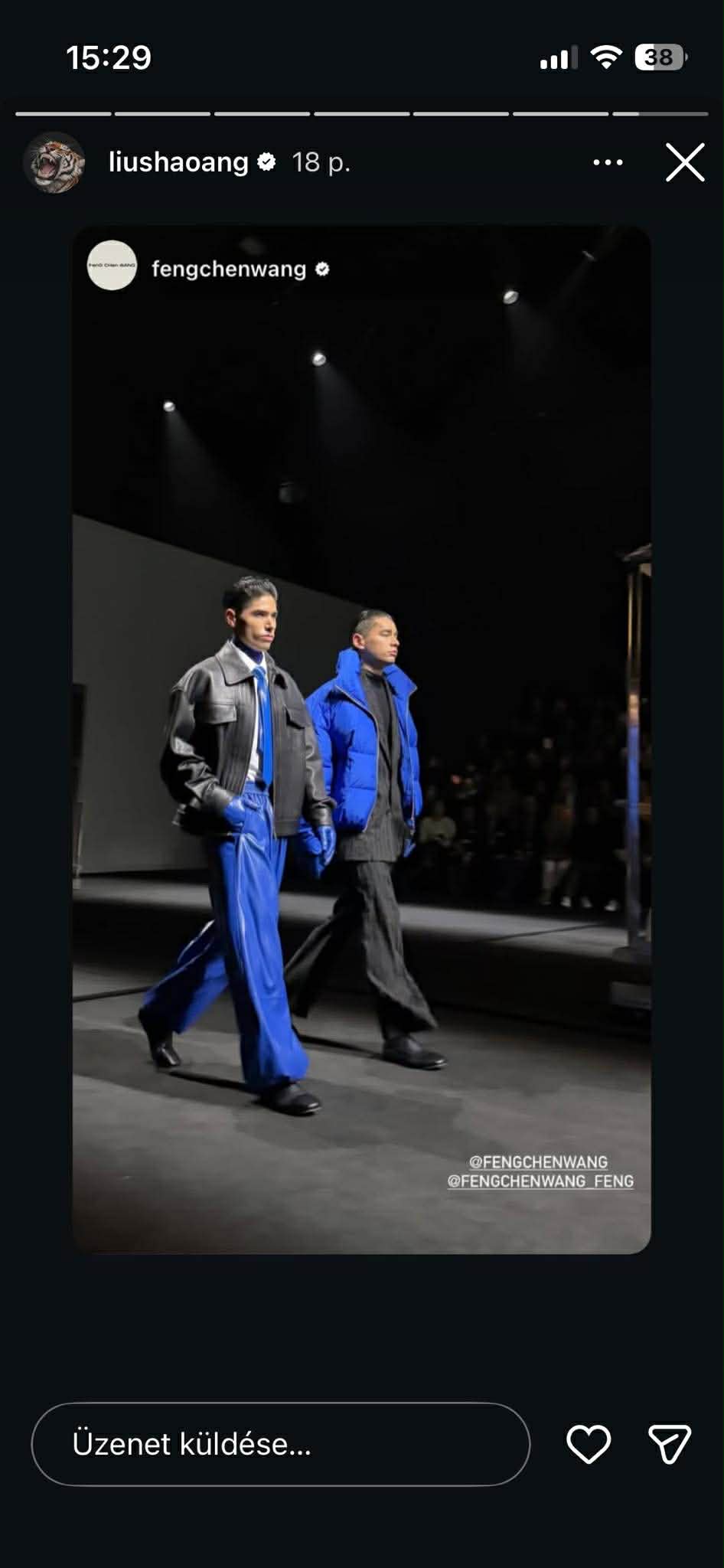 Liu testvérek a divatbemutatón