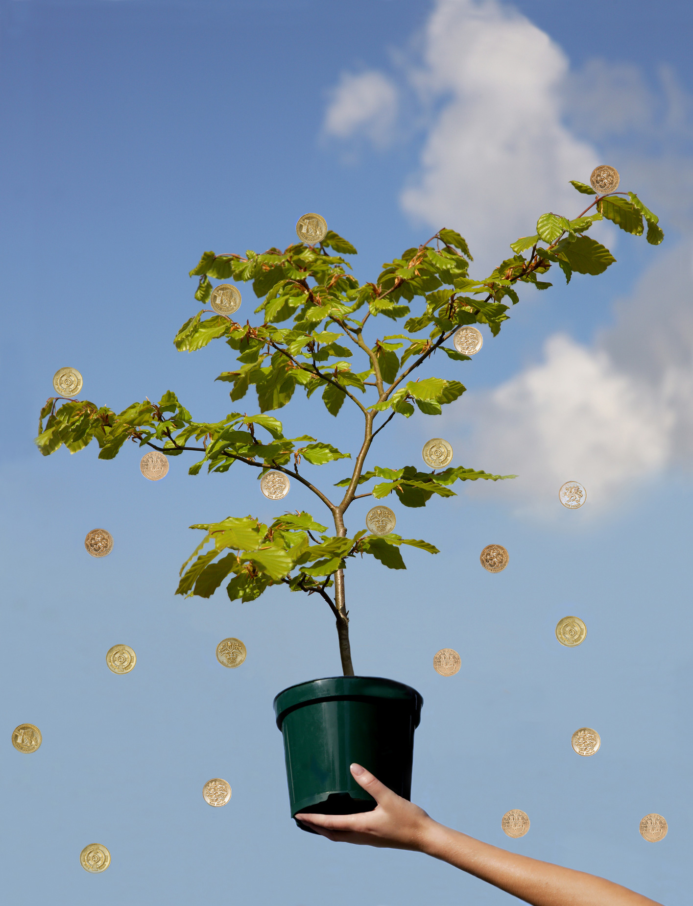 Egy cserepes fáról érmék potyognak
