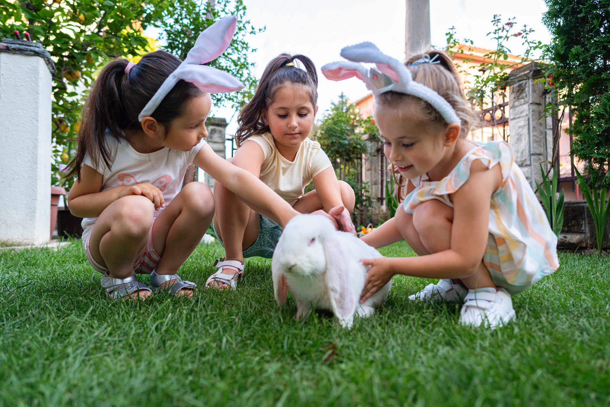 Nyuszit simogatnak a kislányok