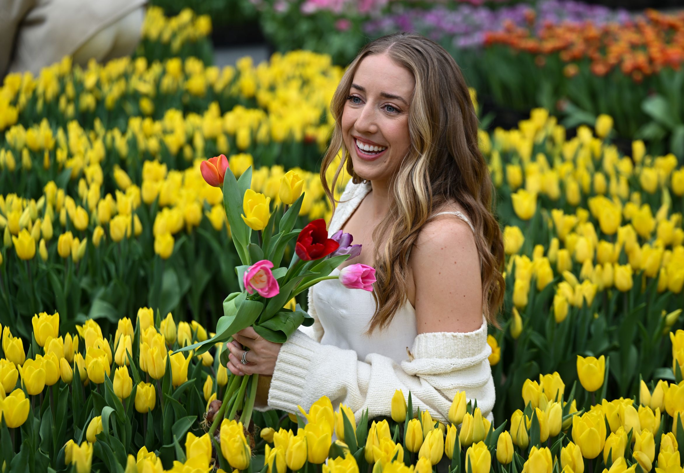 fiatal nő a tulipánmezőn