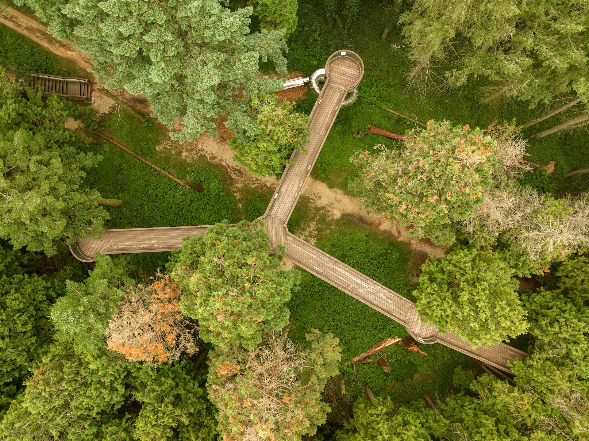Ez nemcsak Magyarország, hanem Európa egyik legszebb botanikus kertje