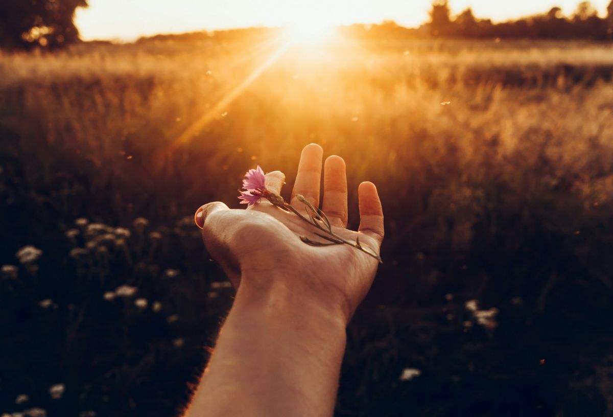 Naplementében mezőn kéz kinyújtott tenyerén kis lila virágot tart
