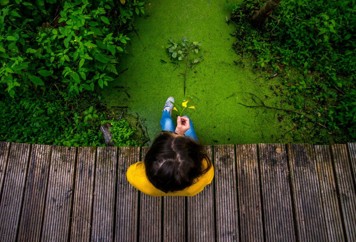 Felülnézetben nő sárga pulóverben ül fa hídon békalencsével és növényekkel benőtt vízfolyás felett, sárga virágot tart a kezében