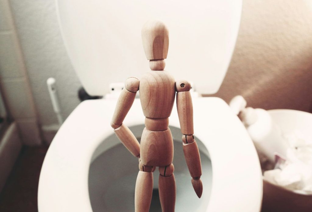 Fa anatómiai bábu fehér vécé előtt áll