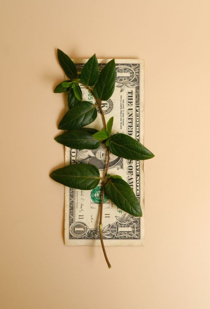 A pénzügyekben a tudatos tervezés a legfotnosabb a héten a horoszkóp szerint