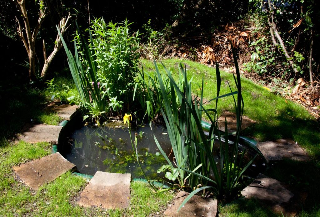 kerti-to-kerttervezes-otlet | Marie Claire Kerti tó növényekkel kis kertben
