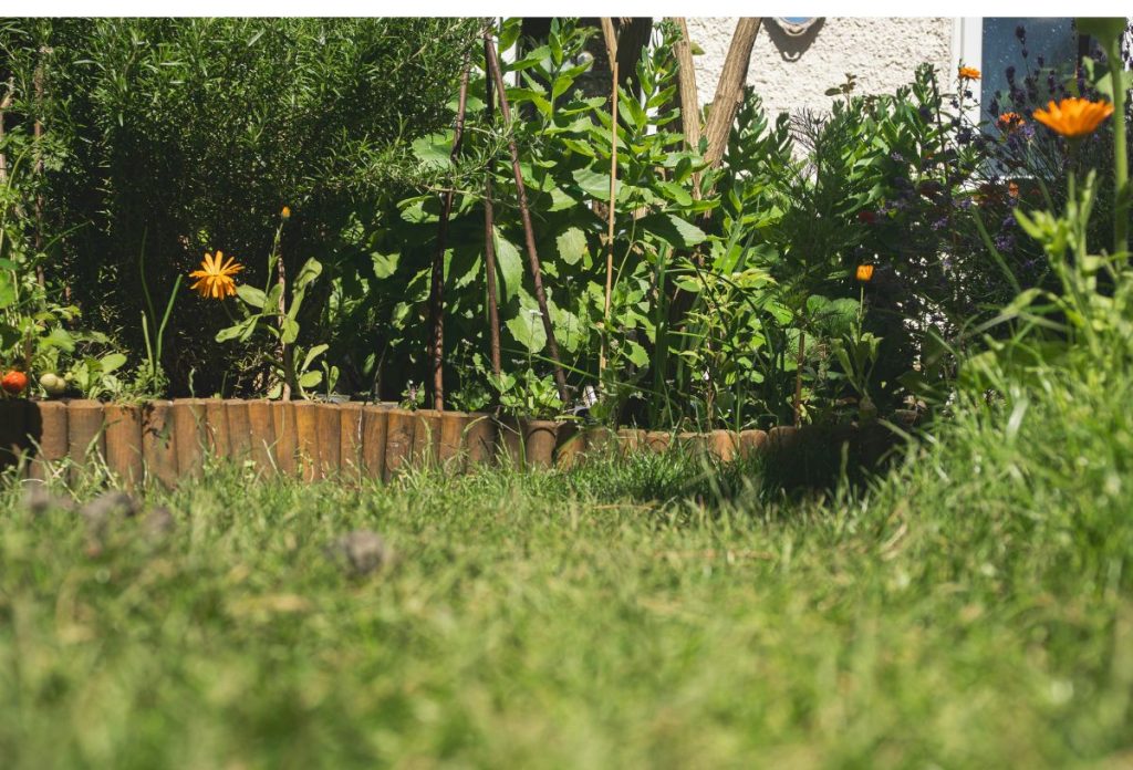 Zöldellő kert körömvirágokkal