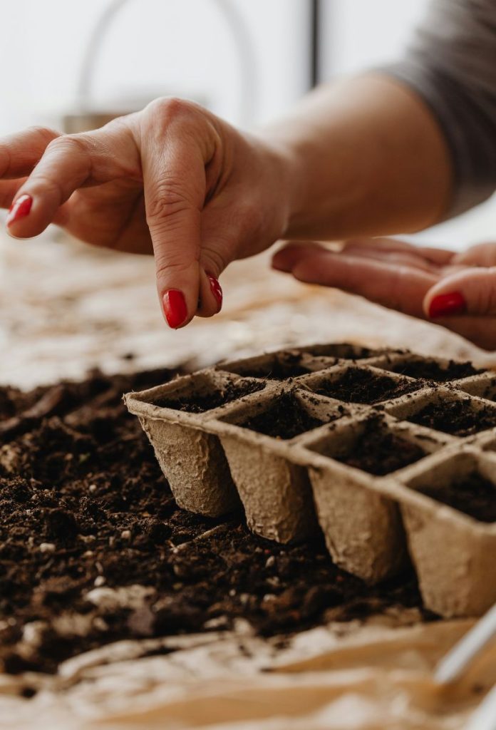 marciusi-kerti-munkak-magok-elvetese | Marie Claire Nő piros körmökkel papír csíráztató edénybe magokat vet el, körülötte virágföld